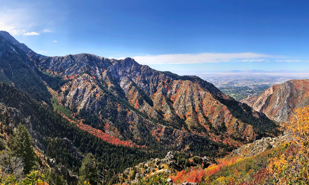 Cottonwood Canyon