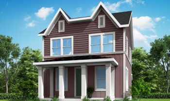 Auburn Ivory Auburn Ivory