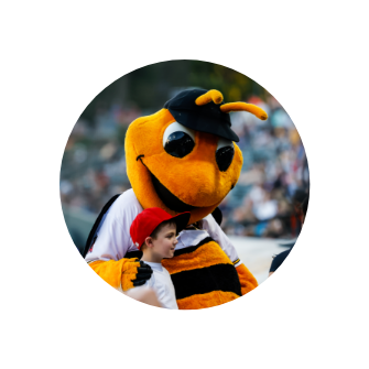 Bees Mascot