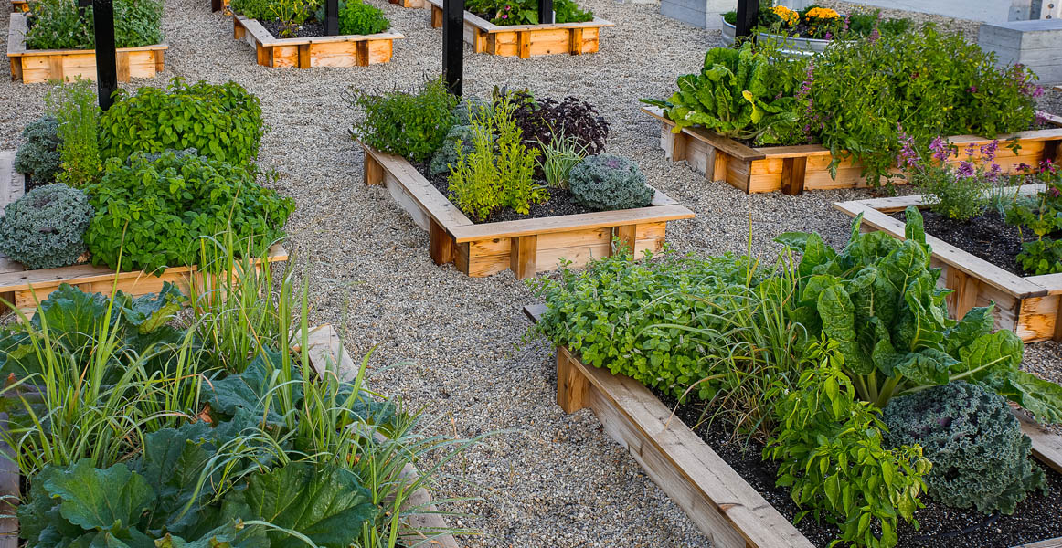 Daybreak Amenities, Community Gardens | Daybreak Utah