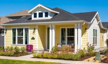 Lupine Model Image Lupine Model Image