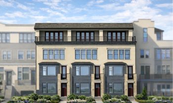 Major League Roof Deck Sego Major League Roof Deck Sego