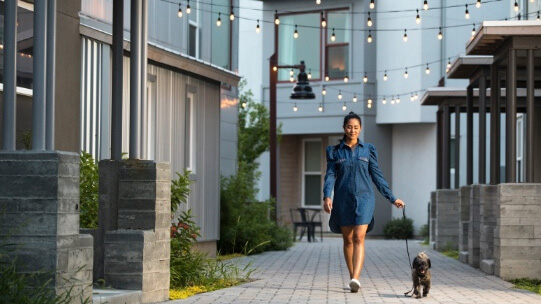 South Station Dog Walk